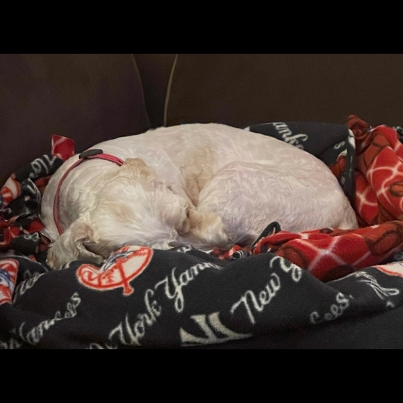 Meet your Posher, Sylvie - Picture 1 of 1